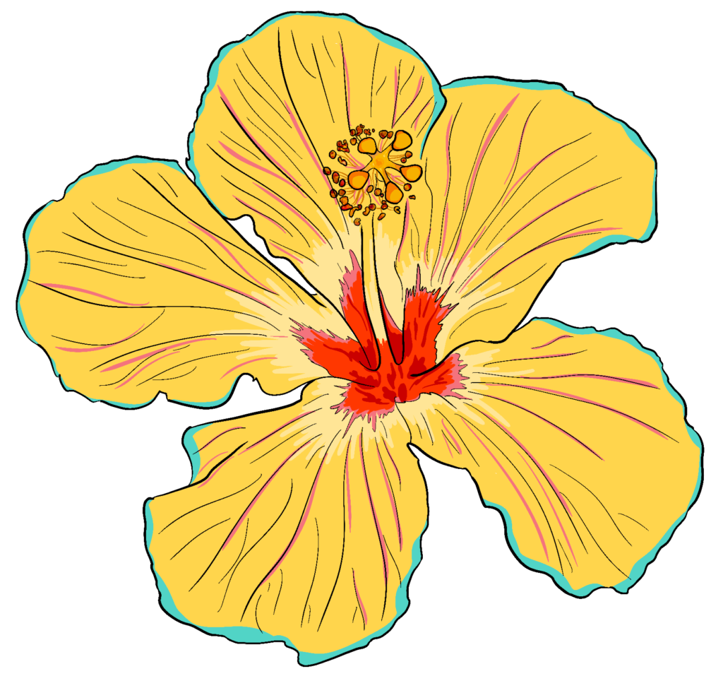Faith Angelica Hibiscus Flower